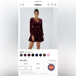 NWT Everyday Deep V Neck Long Sleeve Ruffled Hem Velvet Mini Chill Party Dress